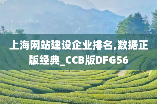 上海网站建设企业排名,数据正版经典_CCB版DFG56