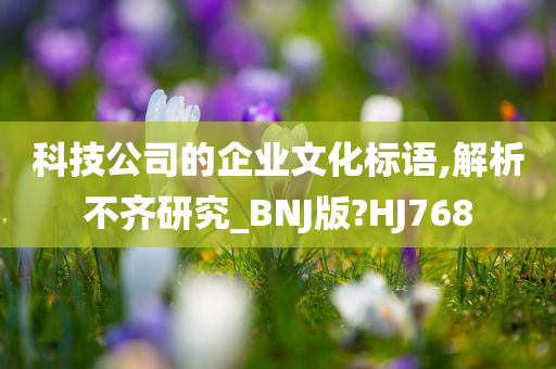 科技公司的企业文化标语,解析不齐研究_BNJ版?HJ768