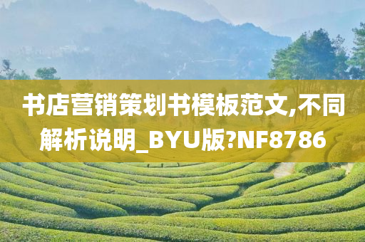 书店营销策划书模板范文,不同解析说明_BYU版?NF8786