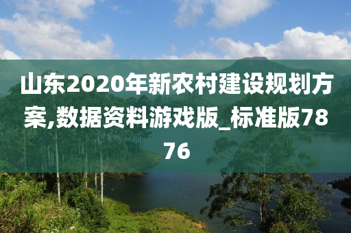 山东2020年新农村建设规划方案,数据资料游戏版_标准版7876