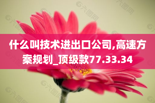 什么叫技术进出口公司,高速方案规划_顶级款77.33.34