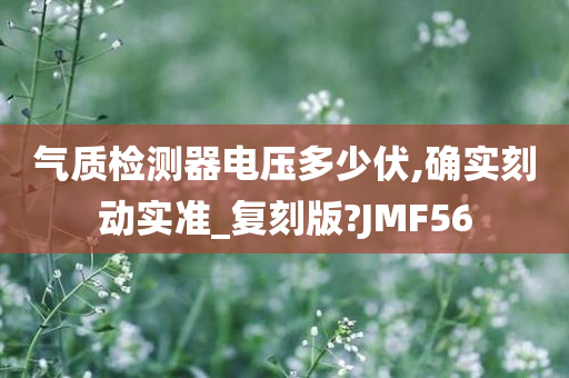 气质检测器电压多少伏,确实刻动实准_复刻版?JMF56