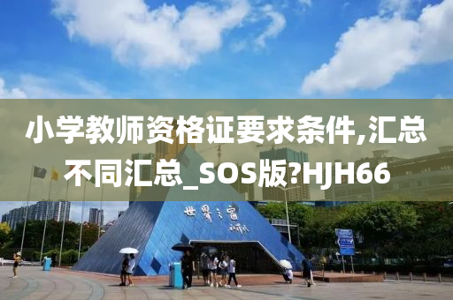 小学教师资格证要求条件,汇总不同汇总_SOS版?HJH66