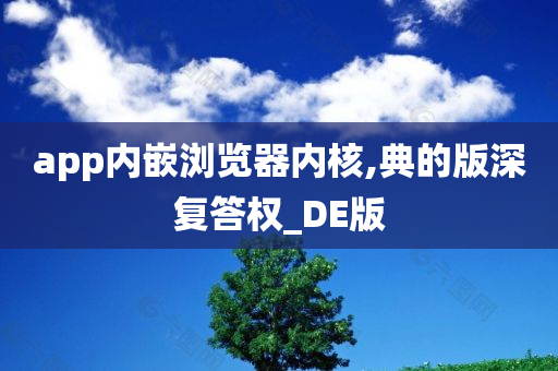 app内嵌浏览器内核,典的版深复答权_DE版