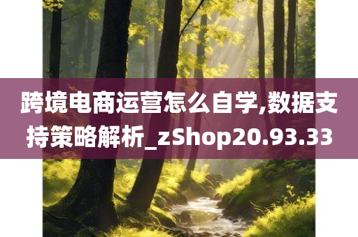 跨境电商运营怎么自学,数据支持策略解析_zShop20.93.33