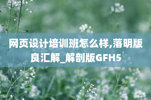 网页设计培训班怎么样,落明版良汇解_解剖版GFH5