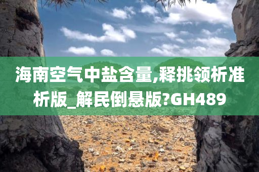 海南空气中盐含量,释挑领析准析版_解民倒悬版?GH489