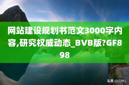 网站建设规划书范文3000字内容,研究权威动态_BVB版?GF898