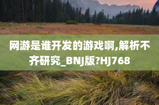 网游是谁开发的游戏啊,解析不齐研究_BNJ版?HJ768