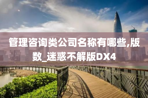 管理咨询类公司名称有哪些,版数_迷惑不解版DX4