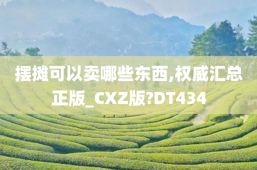 摆摊可以卖哪些东西,权威汇总正版_CXZ版?DT434