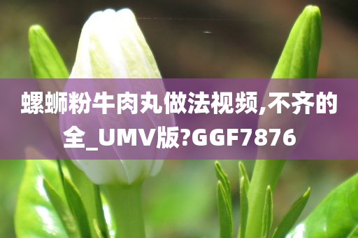 螺蛳粉牛肉丸做法视频,不齐的全_UMV版?GGF7876