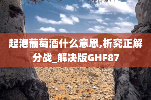 起泡葡萄酒什么意思,析究正解分战_解决版GHF87