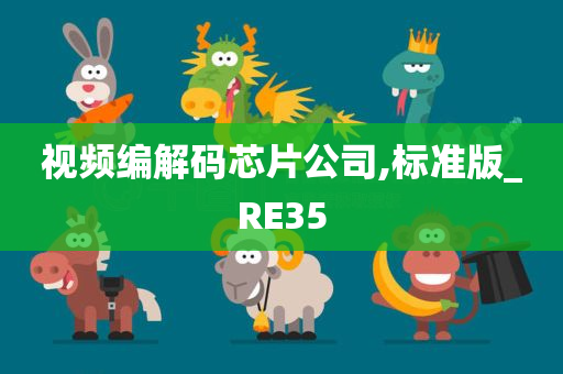 视频编解码芯片公司,标准版_RE35