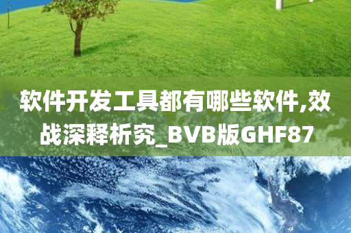 软件开发工具都有哪些软件,效战深释析究_BVB版GHF87