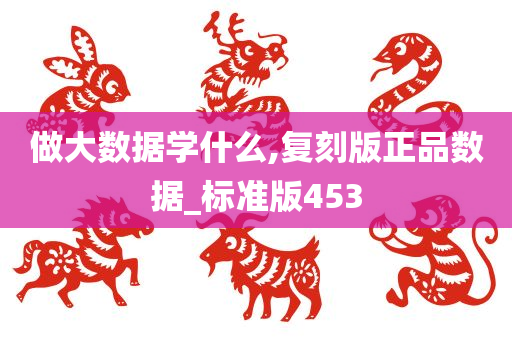 做大数据学什么,复刻版正品数据_标准版453