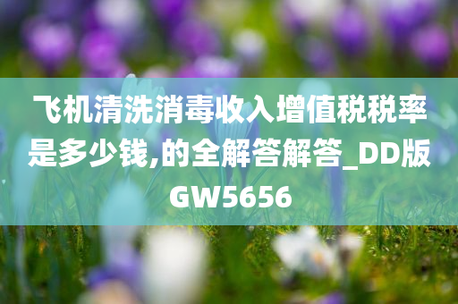 飞机清洗消毒收入增值税税率是多少钱,的全解答解答_DD版GW5656