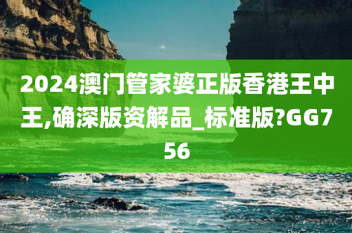 2024澳门管家婆正版香港王中王,确深版资解品_标准版?GG756