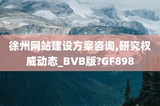 徐州网站建设方案咨询,研究权威动态_BVB版?GF898