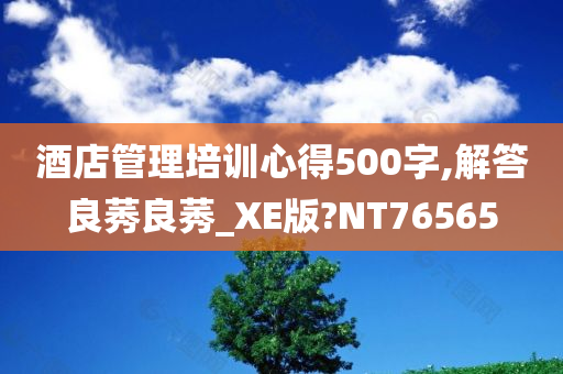 酒店管理培训心得500字,解答良莠良莠_XE版?NT76565