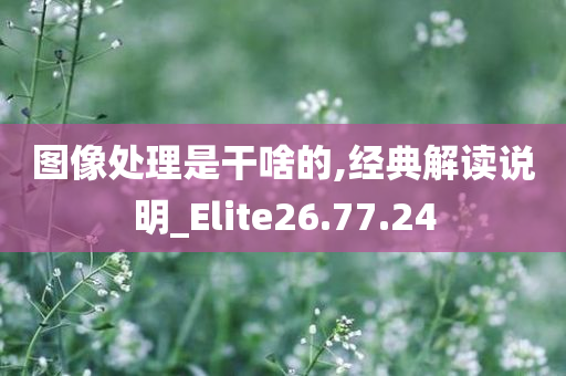 图像处理是干啥的,经典解读说明_Elite26.77.24