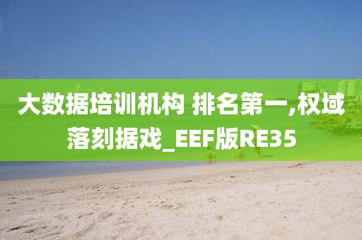 大数据培训机构 排名第一,权域落刻据戏_EEF版RE35