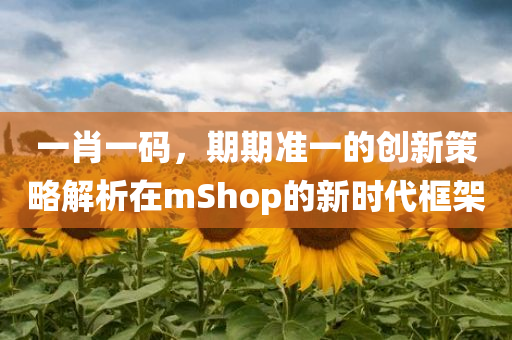 一肖一码，期期准一的创新策略解析在mShop的新时代框架