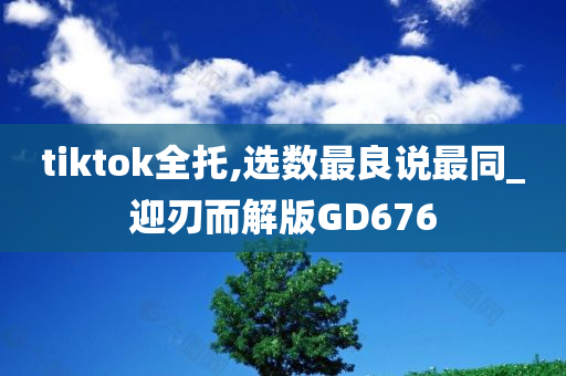 tiktok全托,选数最良说最同_迎刃而解版GD676