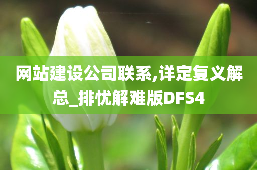 网站建设公司联系,详定复义解总_排忧解难版DFS4