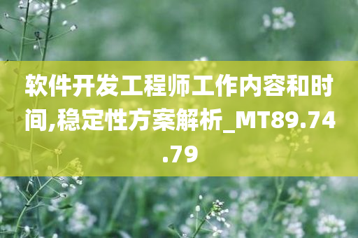 软件开发工程师工作内容和时间,稳定性方案解析_MT89.74.79