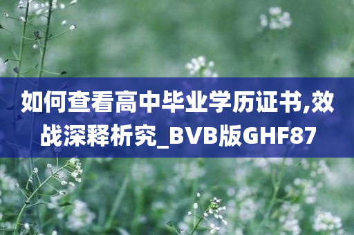 如何查看高中毕业学历证书,效战深释析究_BVB版GHF87