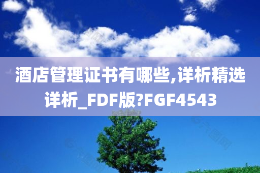 酒店管理证书有哪些,详析精选详析_FDF版?FGF4543