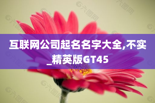 互联网公司起名名字大全,不实_精英版GT45