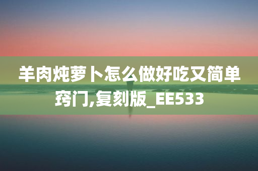 羊肉炖萝卜怎么做好吃又简单窍门,复刻版_EE533