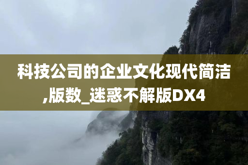 科技公司的企业文化现代简洁,版数_迷惑不解版DX4