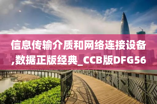 信息传输介质和网络连接设备,数据正版经典_CCB版DFG56