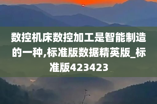 数控机床数控加工是智能制造的一种,标准版数据精英版_标准版423423