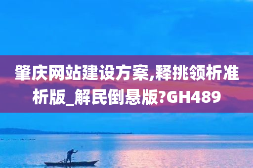 肇庆网站建设方案,释挑领析准析版_解民倒悬版?GH489