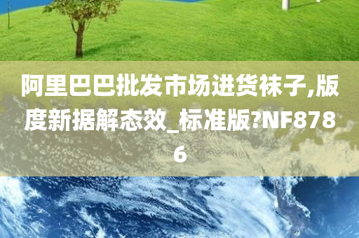 阿里巴巴批发市场进货袜子,版度新据解态效_标准版?NF8786