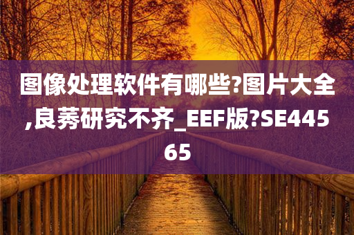 图像处理软件有哪些?图片大全,良莠研究不齐_EEF版?SE44565