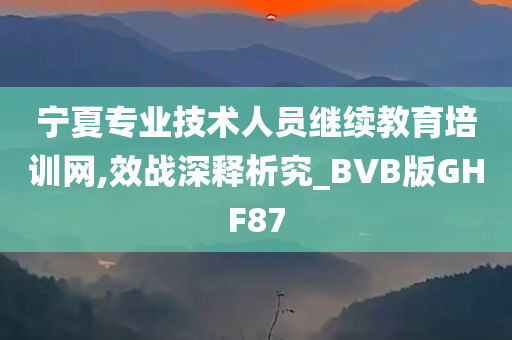 宁夏专业技术人员继续教育培训网,效战深释析究_BVB版GHF87