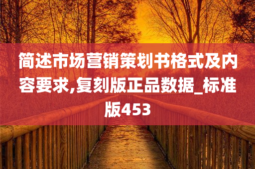 简述市场营销策划书格式及内容要求,复刻版正品数据_标准版453