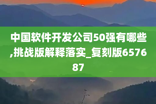 中国软件开发公司50强有哪些,挑战版解释落实_复刻版657687