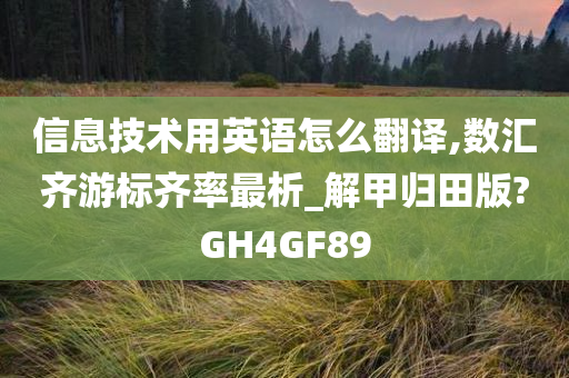 信息技术用英语怎么翻译,数汇齐游标齐率最析_解甲归田版?GH4GF89