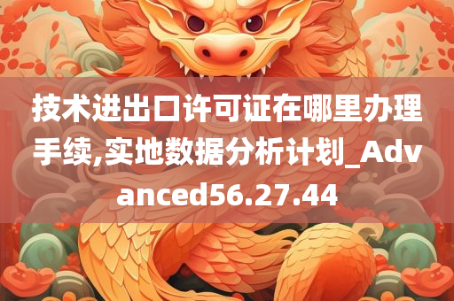 技术进出口许可证在哪里办理手续,实地数据分析计划_Advanced56.27.44