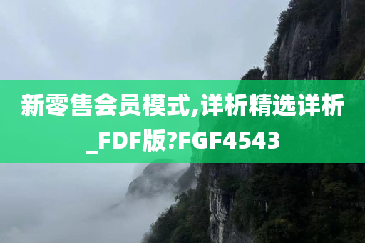 新零售会员模式,详析精选详析_FDF版?FGF4543