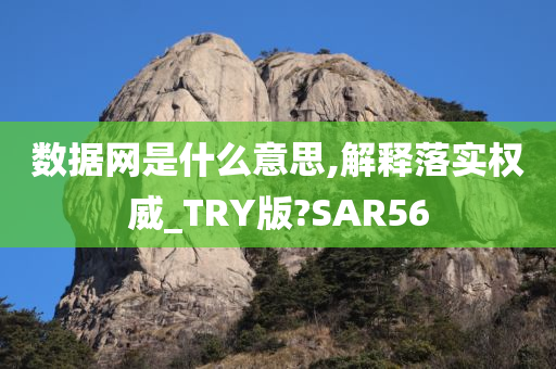 数据网是什么意思,解释落实权威_TRY版?SAR56