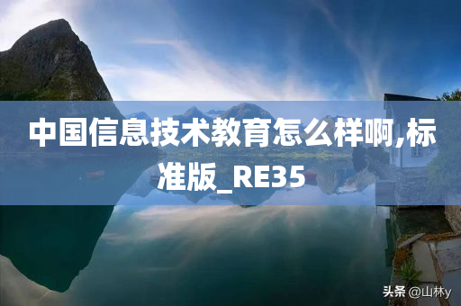 中国信息技术教育怎么样啊,标准版_RE35