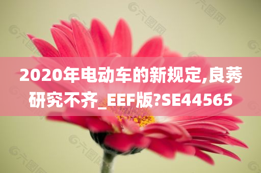 2020年电动车的新规定,良莠研究不齐_EEF版?SE44565