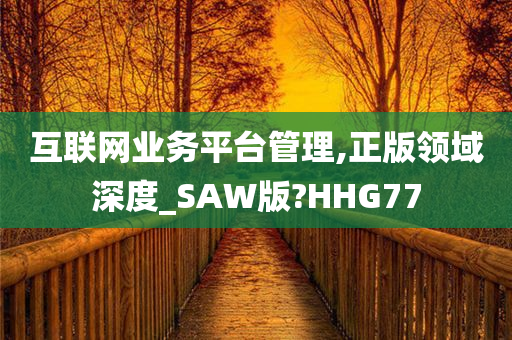 互联网业务平台管理,正版领域深度_SAW版?HHG77